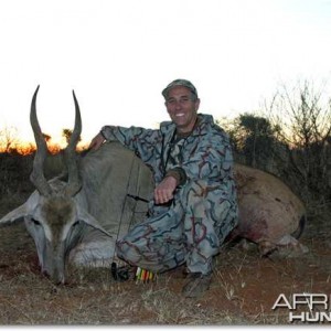 Cape eland-Limpopo