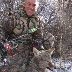 Nebraska Coyote