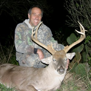 Texas White-tailed deer