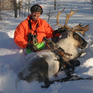 Quebec-Labrador Caribou