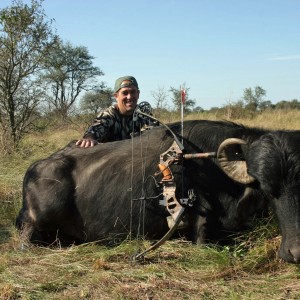 Water Buffalo-Argentina