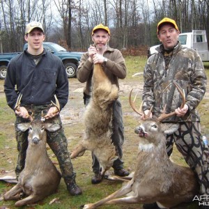 Pennsylvania White-tailed deer