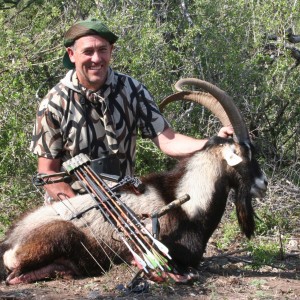 Hybrid Ibex