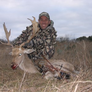 Fallow Deer-North America