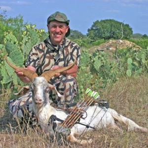 Texas Feral Goat