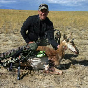 Wyoming Pronghorn