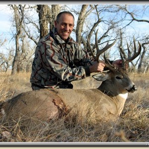 Wyoming White-tailed deer