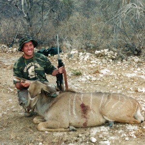 Lion Bait...Namibia