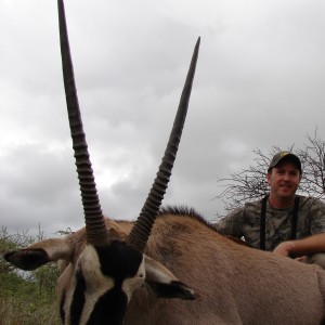 Gemsbok