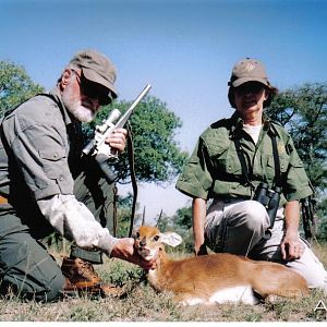 steenbok