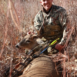 A rare Colorado frontrange White-tailed deer