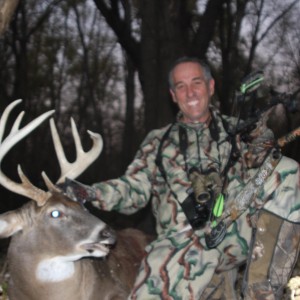 Illinois White-tailed deer