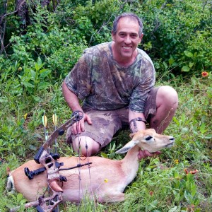 Blackbuck Female