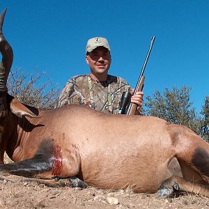 Hartebeest