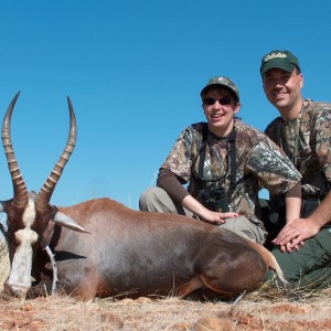 Blesbok