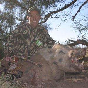 Feral Boar-Argentina