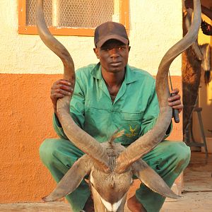 Hunting Greater Kudu in Namibia