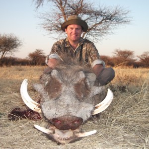 Hunting Warthog in Namibia