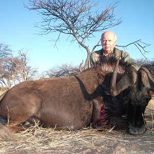 Hunting Black Wildebeest in Namibia