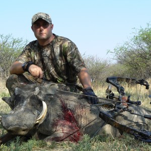 Bowhunting Warthog in Namibia