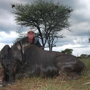 Hunting Black Wildebeest in Namibia