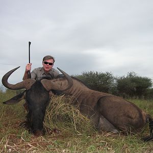 Hunting Blue Wildebeest in Namibia