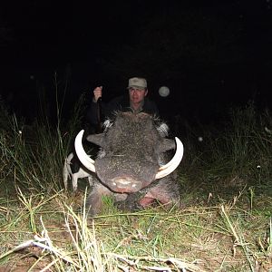 Hunting Warthog in Namibia