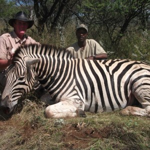 Hunting Burchell's Plain Zebra in Namibia