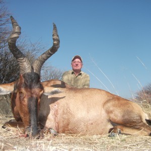 Hunting Red Hartebeest in Namibia