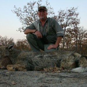 Side stripped jackal  Zimbabwe 2007