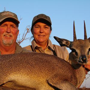 Klipspringer Zimbabwe 2007