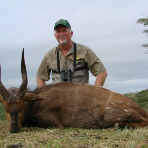 Cape Bushbuck Kwa Zulu Natal, SA 2007