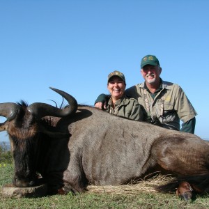 Blue Wildebeest Kwa Zulu Natal, SA 2007