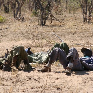 Charisa, Zimbabwe 2007