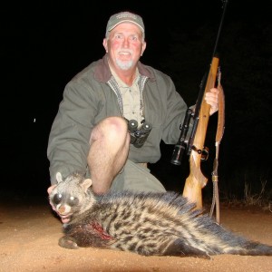 Civet cat Imbezie Camp, Lowveld of Zimbabwe