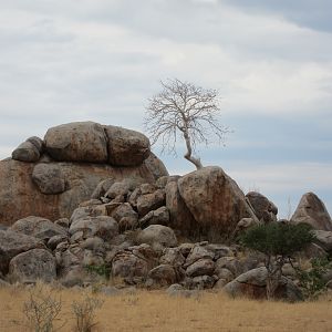 Damaraland Namibia