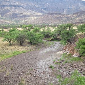 Damaraland Namibia