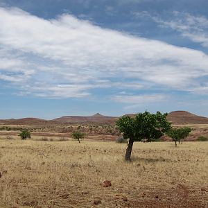 Damaraland Namibia