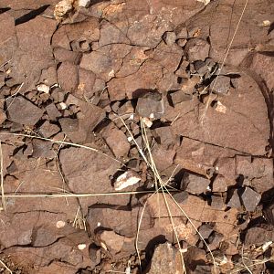 Damaraland Namibia