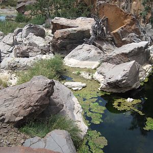 Damaraland Namibia