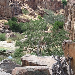 Damaraland Namibia