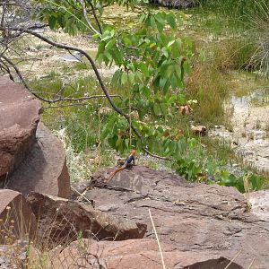 Damaraland Namibia