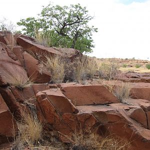 Damaraland Namibia