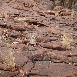 Damaraland Namibia