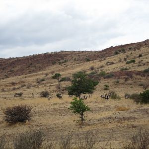 Damaraland Namibia