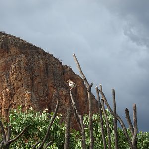 Damaraland Namibia