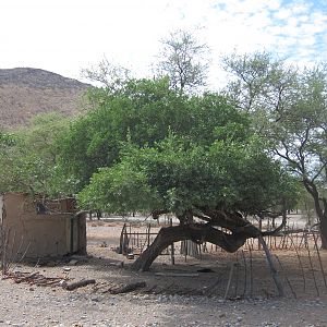 Damaraland Namibia