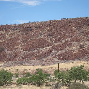 Damaraland Namibia