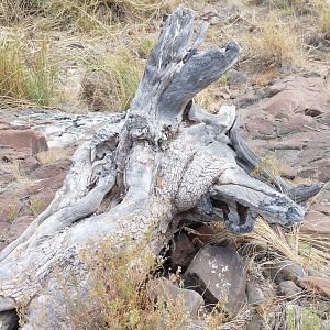 Damaraland Namibia