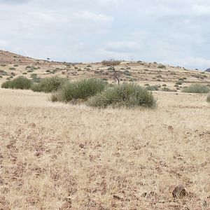 Damaraland Namibia